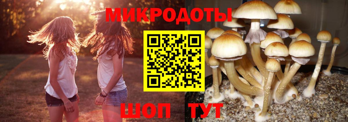 Псилоцибиновые грибы Magic Shrooms Новодвинск