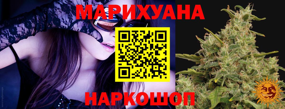 Конопля OG Kush Новодвинск